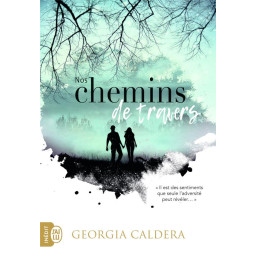 NOS CHEMINS DE TRAVERS